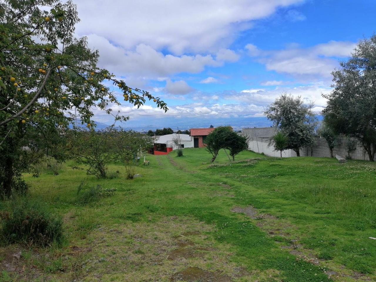 Hosteria El Tisaleno Ambato Buitenkant foto